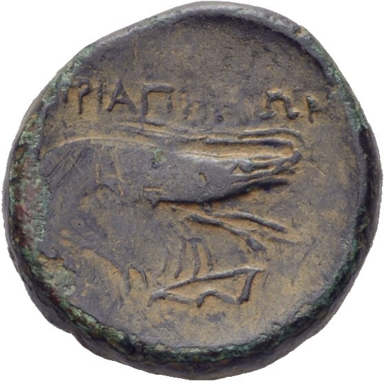 CN Type 19706, реверс, cn-coins