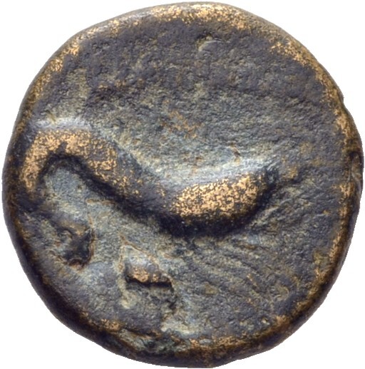 CN Type 19705, реверс, cn-coins