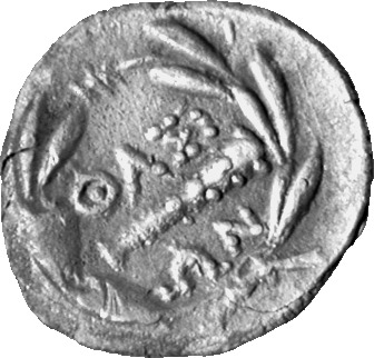 reverse CN Type cn.thasos.1_ed.107