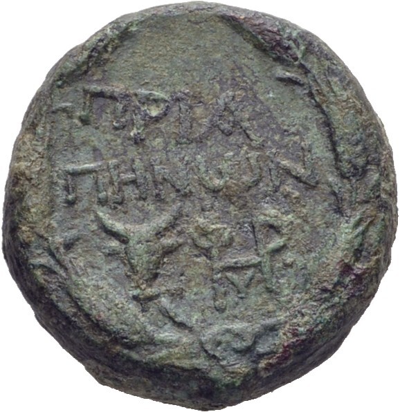 CN Type 19734, реверс, cn-coins
