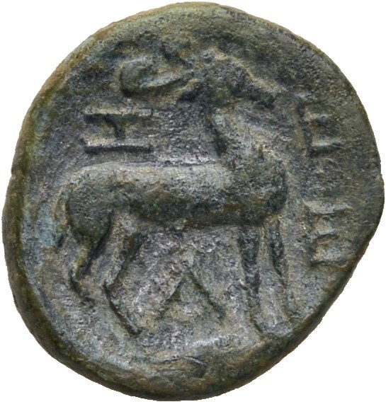 CN Type 4921, реверс, cn-coins