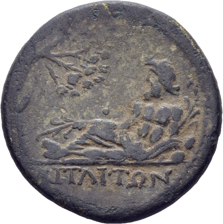 реверс CN Type 16990