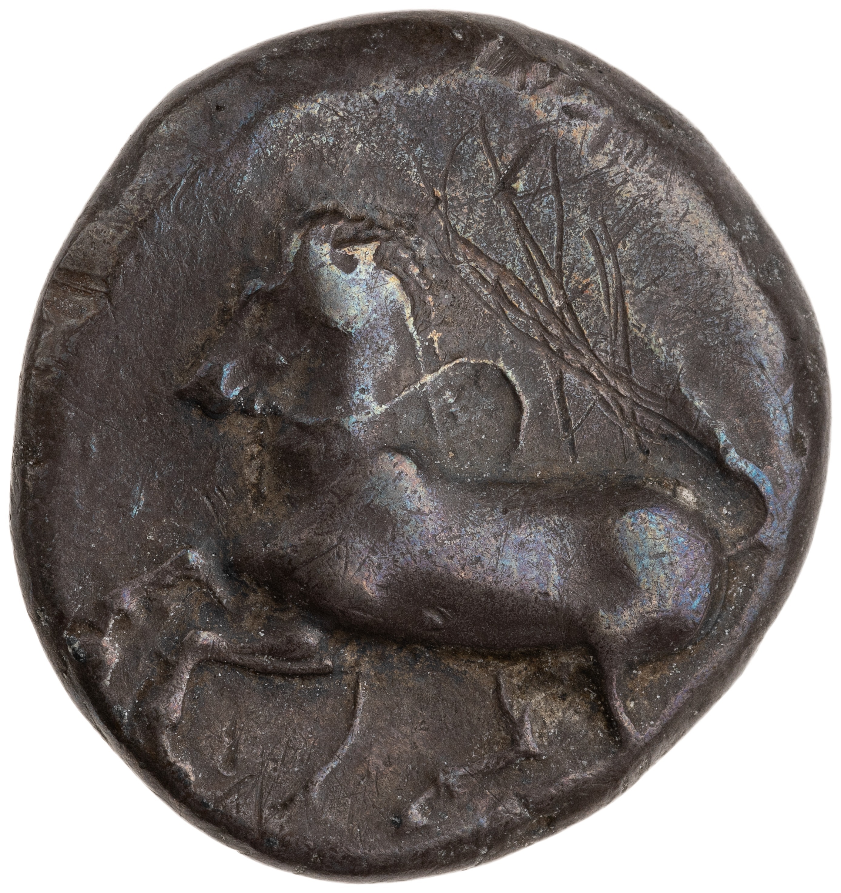 CN Type cn.maroneia.1_ed.162, аверс, cn-coins