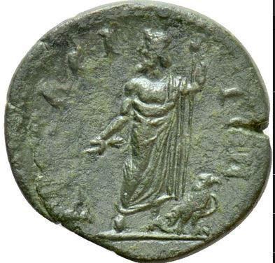 реверс CN Type 17895