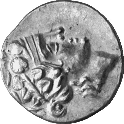 CN Type cn.thasos.1_ed.126, аверс, cn-coins