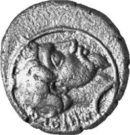 CN Type cn.amadocus_i_odrysian_thrace.1_ed.2, аверс, cn-coins
