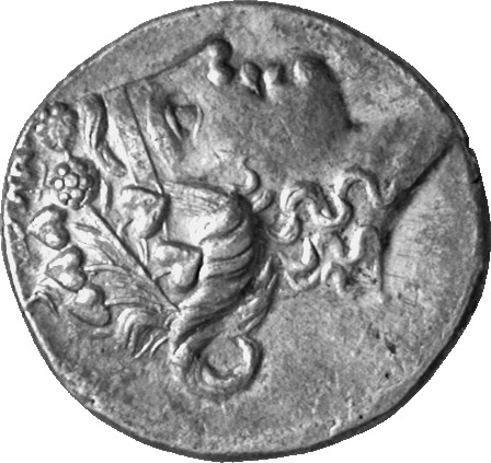 CN Type cn.thasos.1_ed.137, аверс, cn-coins