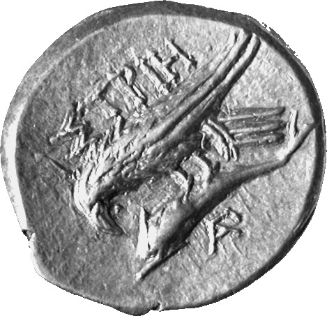 CN Type 7142, реверс, cn-coins