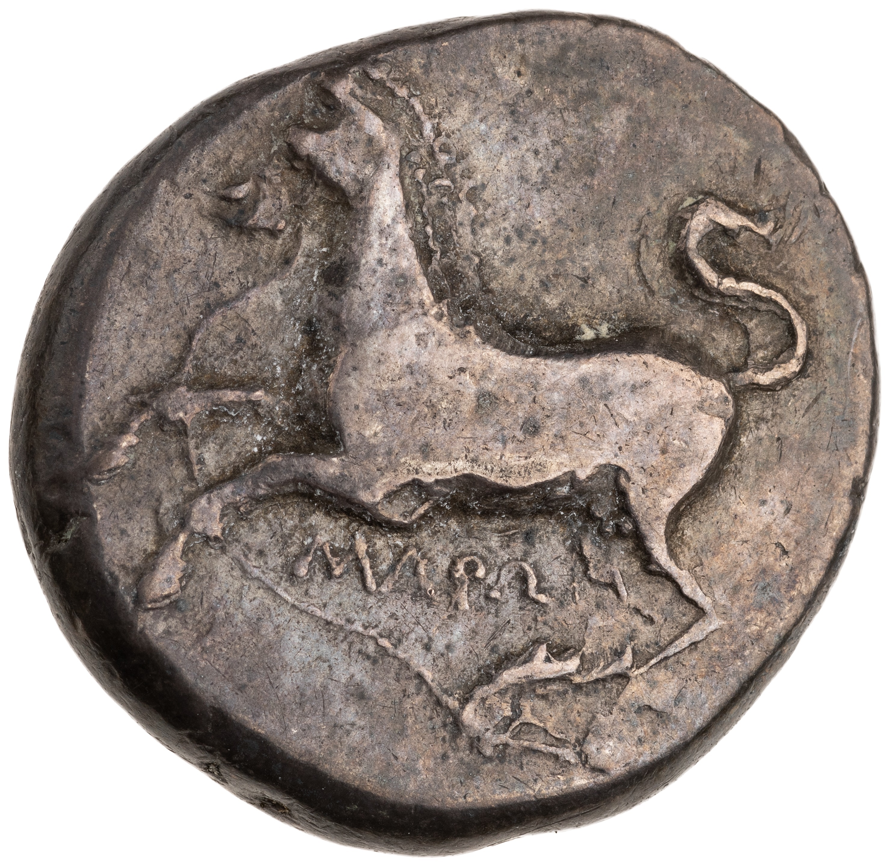 CN Type cn.maroneia.1_ed.149, аверс, cn-coins