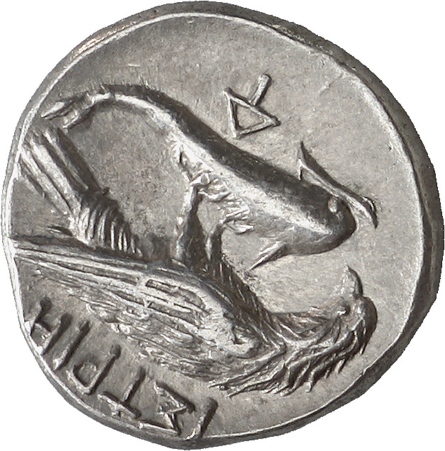 CN Type 7146, реверс, cn-coins