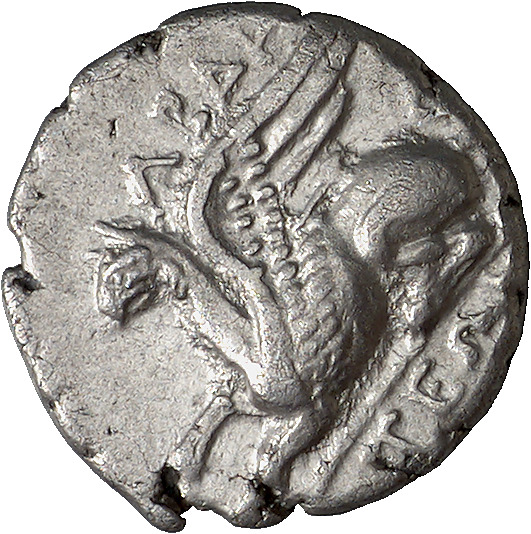 CN Type cn.abdera_thrace.1_ed.242, аверс, cn-coins