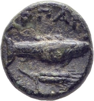CN Type 7648, реверс, cn-coins