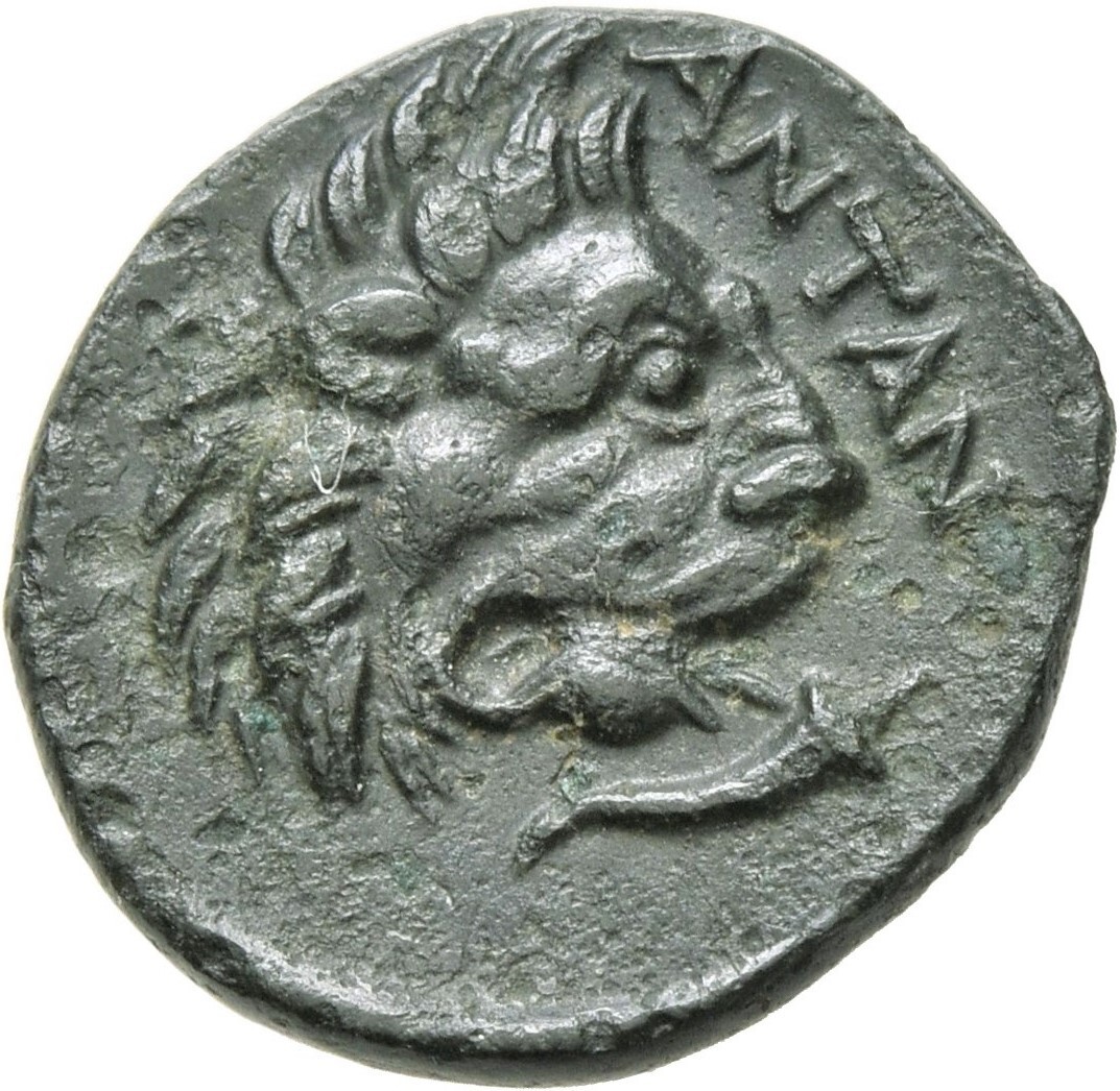 CN Type 21492, реверс, cn-coins