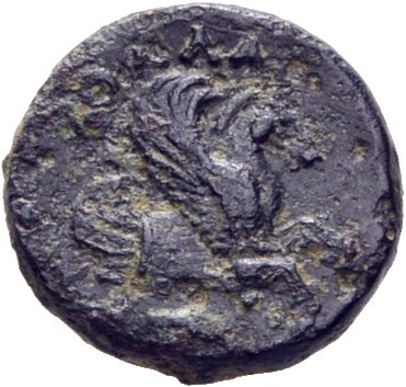 CN Type 21497, реверс, cn-coins