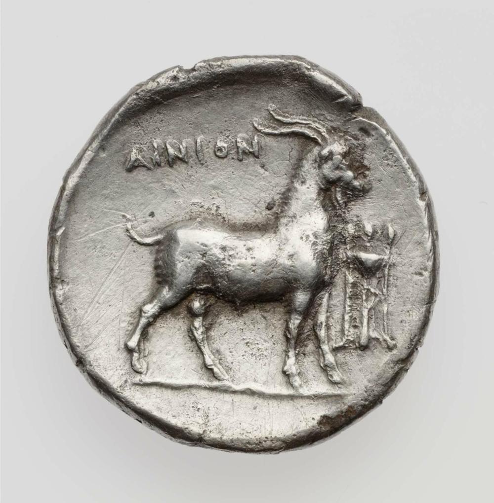 coin rev