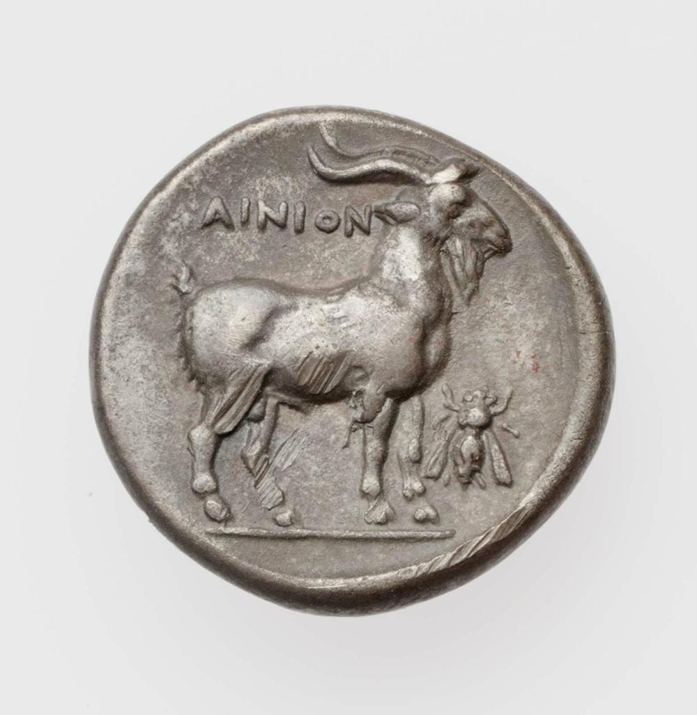 coin rev
