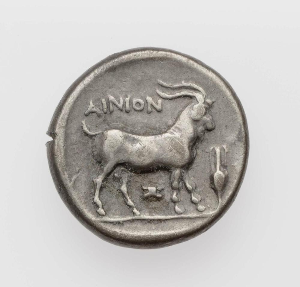 coin rev