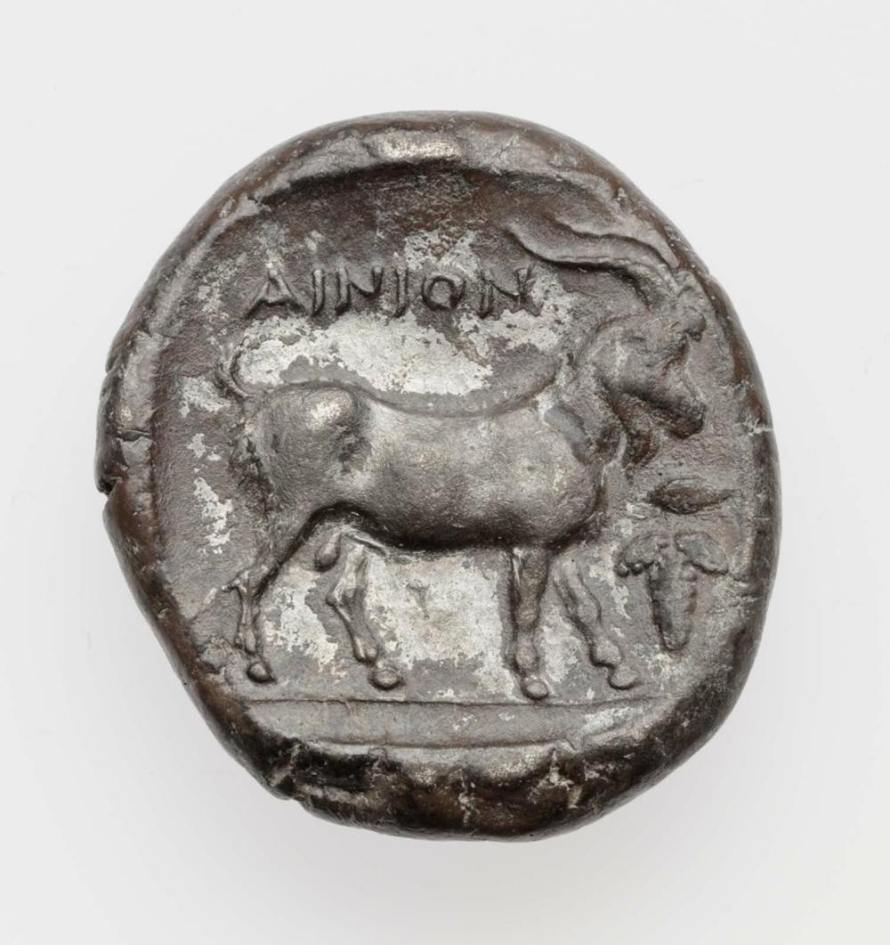 coin rev