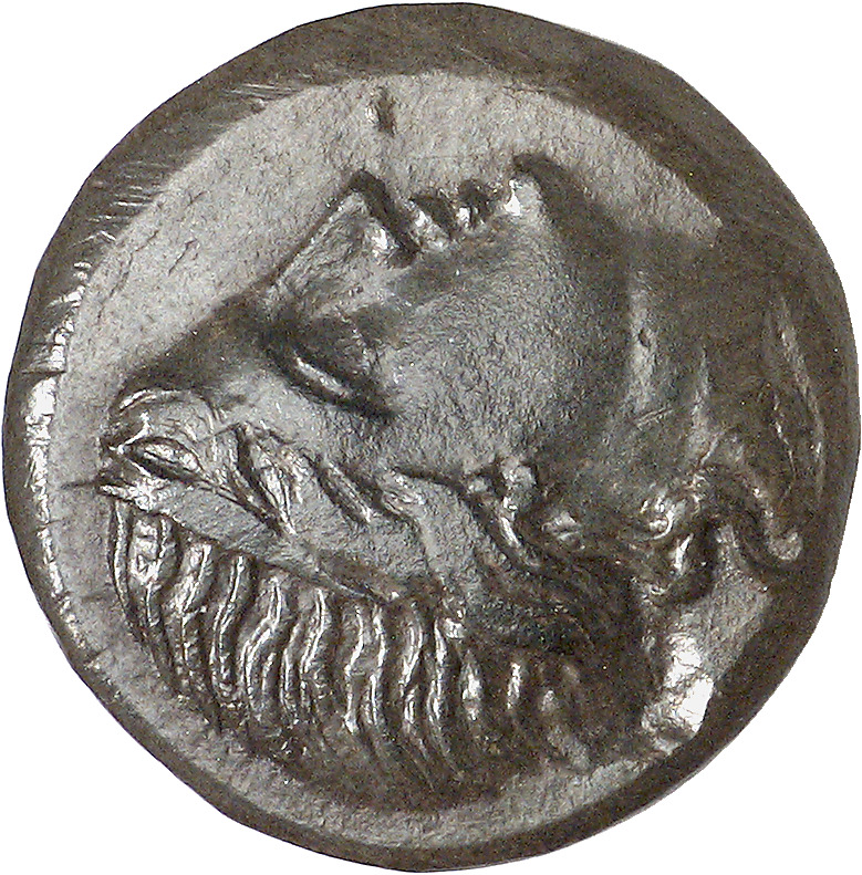 CN Type cn.mesembria.1_ed.134, аверс, cn-coins