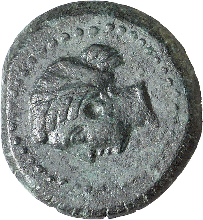 CN Type cn.sestus.1_ed.43, аверс, cn-coins