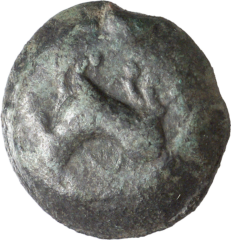CN Type cn.amadocus_i_odrysian_thrace.1_ed.8, аверс, cn-coins