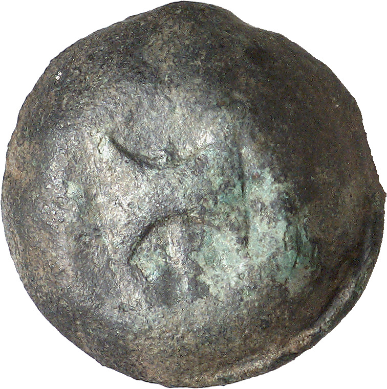 CN Type cn.amadocus_i_odrysian_thrace.1_ed.8, реверс, cn-coins