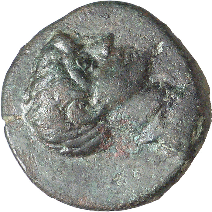CN Type 21697, аверс, cn-coins