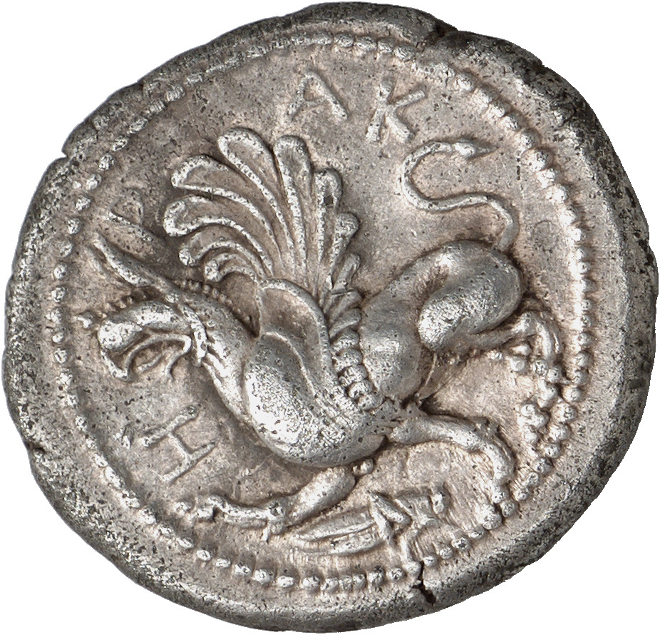CN Type cn.abdera_thrace.1_ed.55, аверс, cn-coins