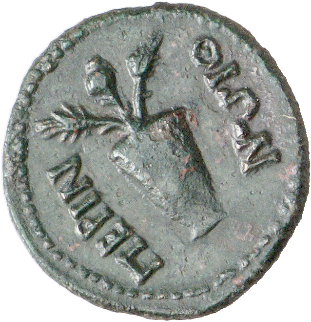 reverse CN Type cn.perinthus.1_ed.61