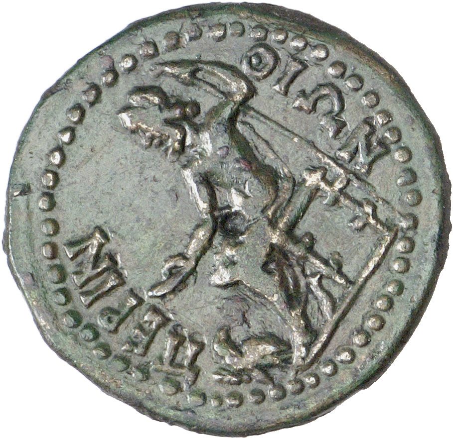 reverse CN Type cn.perinthus.1_ed.54