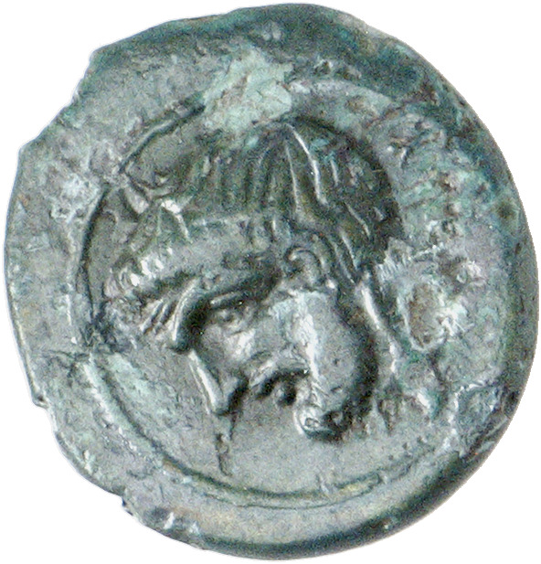 CN Type cn.hebryzelmis_odrysian_thrace.1_ed.2, аверс, cn-coins