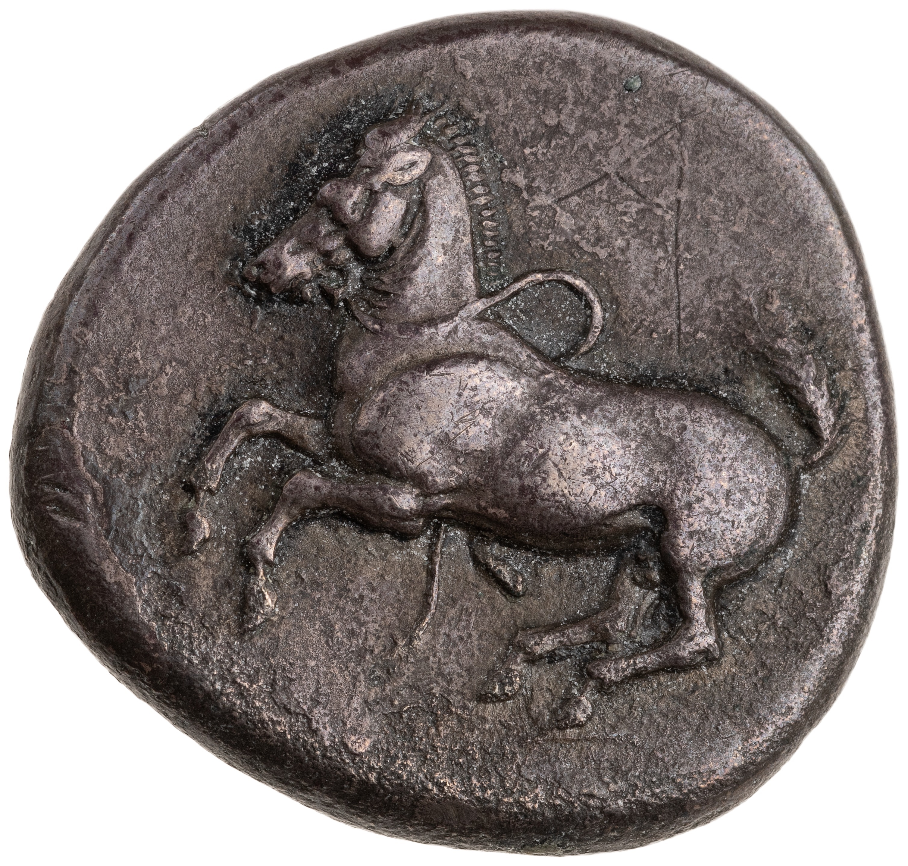 CN Type cn.maroneia.1_ed.143, аверс, cn-coins
