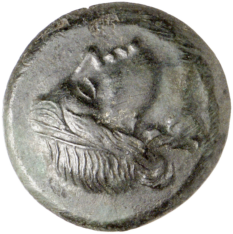 CN Type cn.mesembria.1_ed.134, аверс, cn-coins