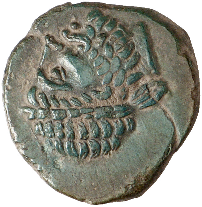 CN Type cn.seuthes_iii_odrysian_thrace.1_ed.3, аверс, cn-coins