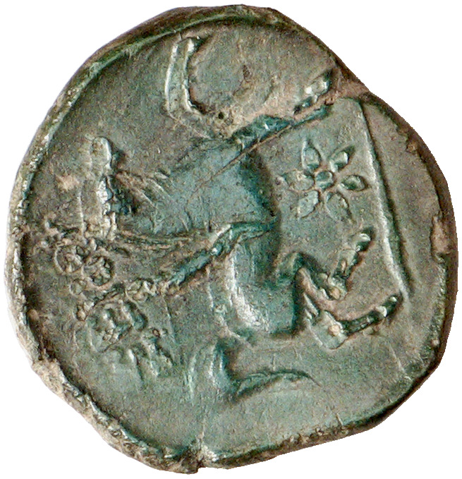 CN Type cn.seuthes_iii_odrysian_thrace.1_ed.3, реверс, cn-coins