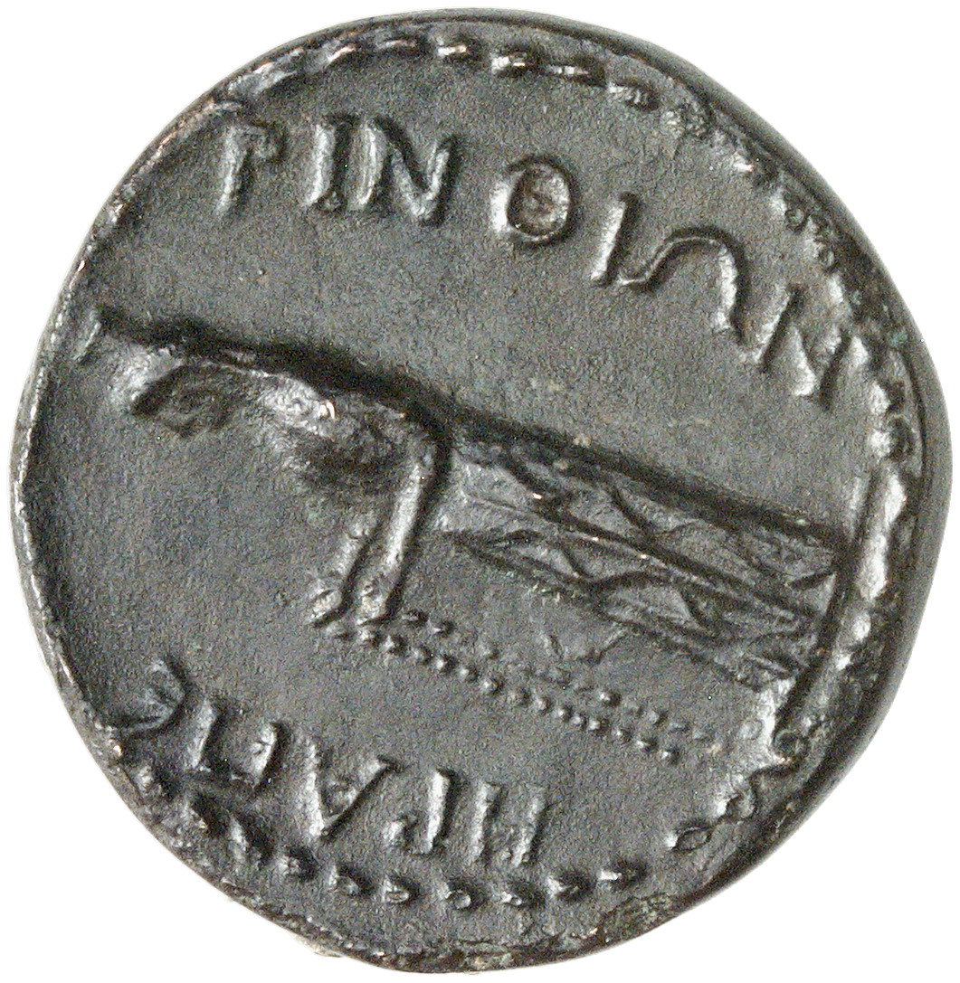 реверс CN Type cn.perinthus.1_ed.114