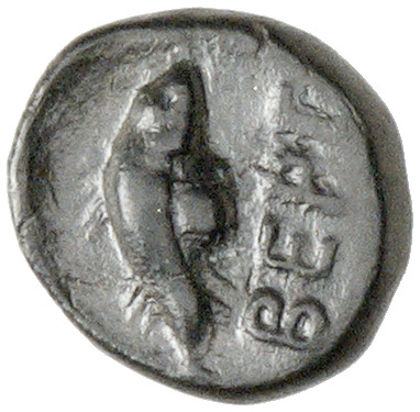 CN Type cn.bergaeus_thrace.1_ed.5, реверс, cn-coins