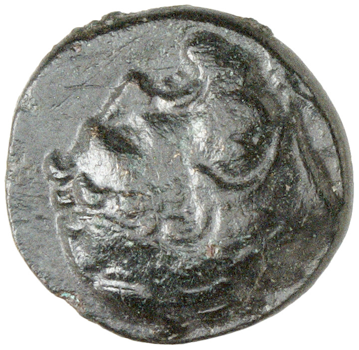 CN Type cn.thasos.1_ed.111, аверс, cn-coins