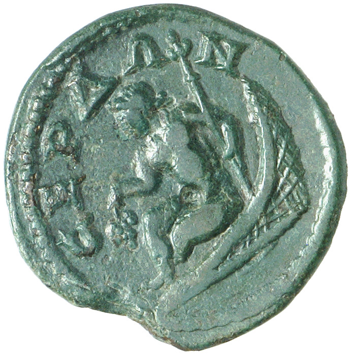 CN Type cn.serdica.1_ed.262, реверс, cn-coins