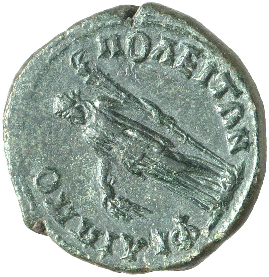CN Type 7702, реверс, cn-coins