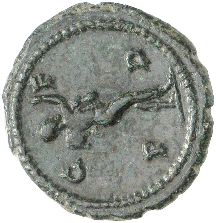 reverse CN Type 37