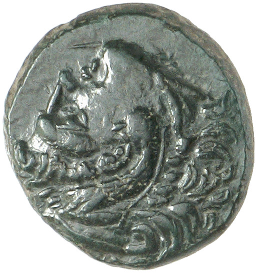 CN Type 12886, аверс, cn-coins