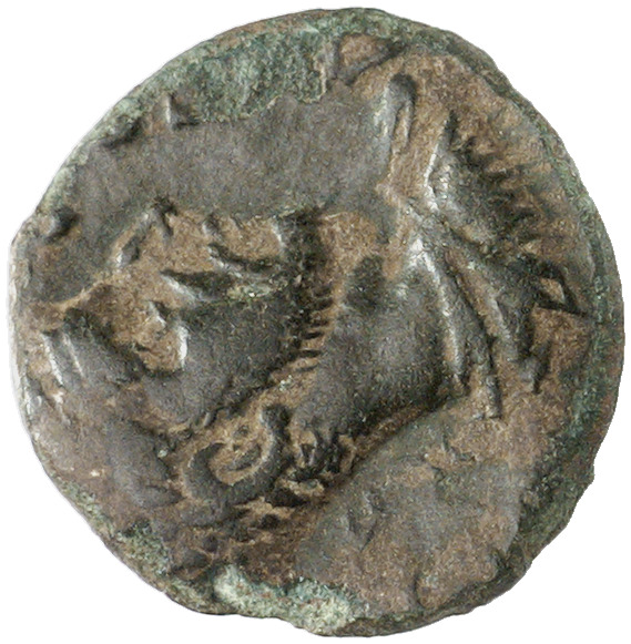 CN Type cn.coela.1_ed.107, аверс, cn-coins