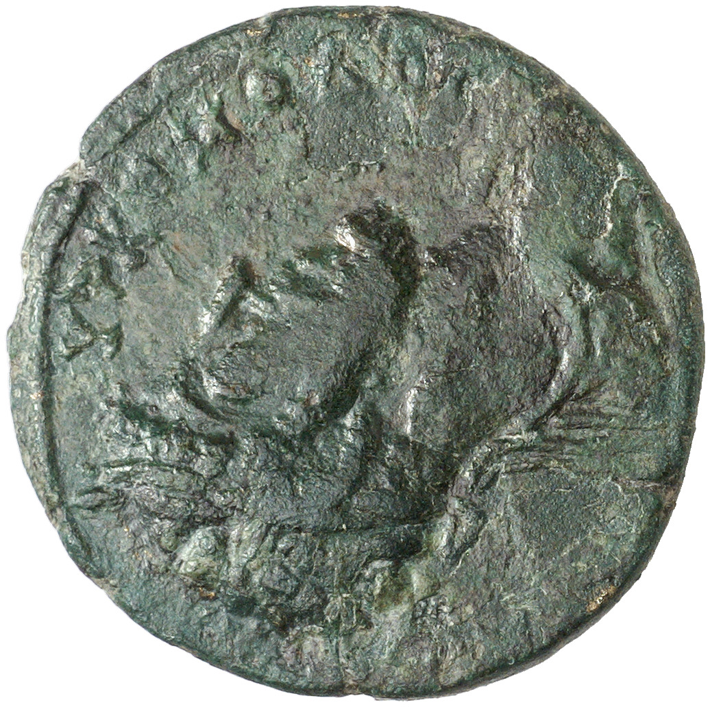 CN Type 8047, аверс, cn-coins