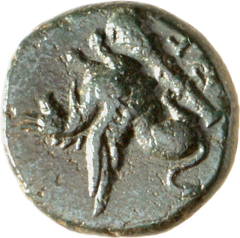CN Type cn.abdera_thrace.1_ed.301, аверс, cn-coins
