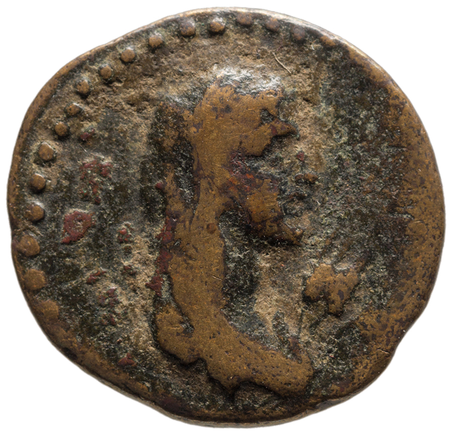 CN Type cn.perinthus.1_ed.61, аверс, cn-coins