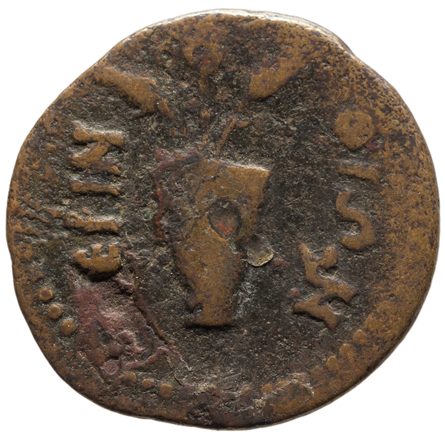 CN Type cn.perinthus.1_ed.61, реверс, cn-coins