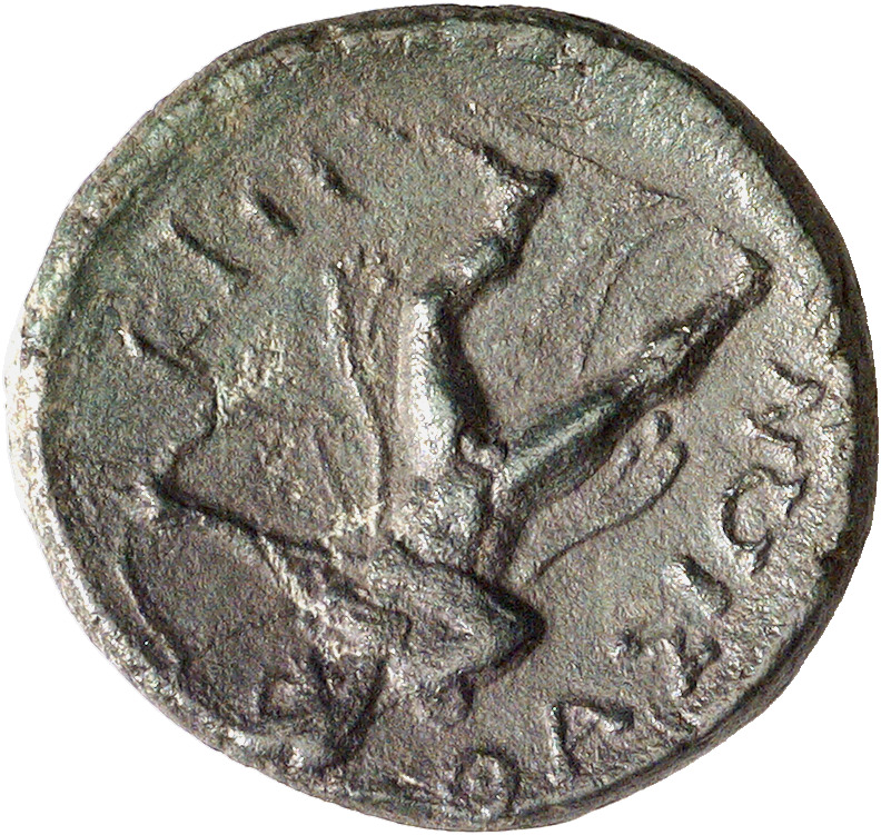 reverse CN Type cn.thasos.1_ed.142