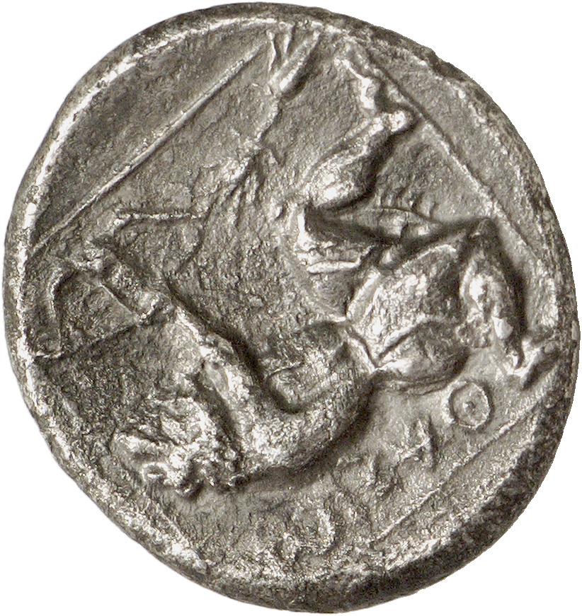 reverse CN Type cn.thasos.1_ed.38