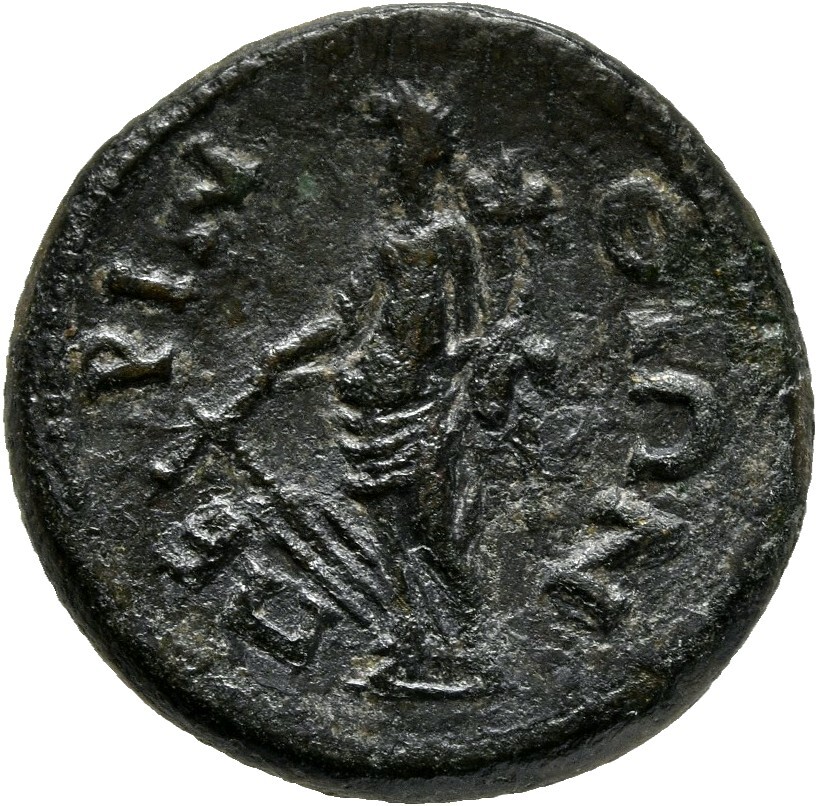 реверс CN Type cn.perinthus.1_ed.144